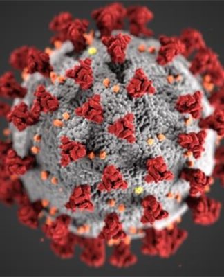 العالم العربي: بين جائحة الفيروس وجائحة الشعوبية؟ نوح الهرموزي