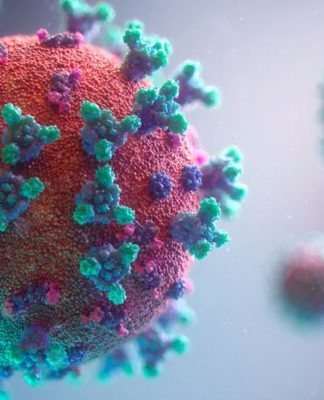 كورونا وجائزة نوبل للكذب: حسام الحميد